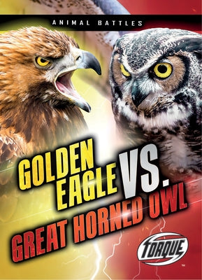 Golden Eagle vs. Great Horned Owl by Sommer, Nathan