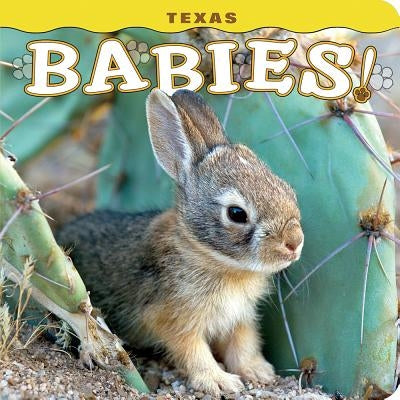 Texas Babies! by Lehmann, Steph