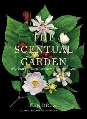 The Scentual Garden: Exploring the World of Botanical Fragrance by Druse, Kenneth