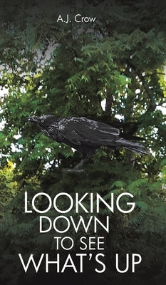 Looking Down to See What's Up by Crow, A. J.