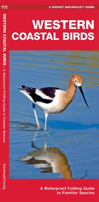 Western Coastal Birds: A Waterproof Folding Guide to Familiar Species by Waterford Press