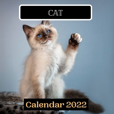 cat calendar 2022 by Press, Cute