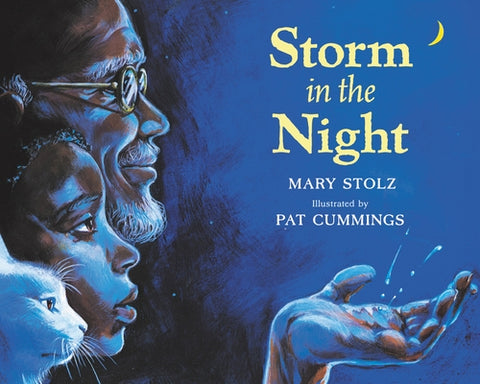 Storm in the Night by Stolz, Mary