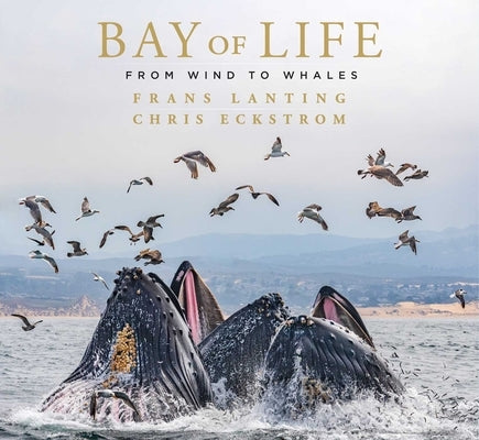 Bay of Life: From Wind to Whales by Lanting, Frans