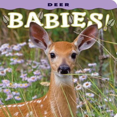 Deer Babies! by Jones, Donald M.