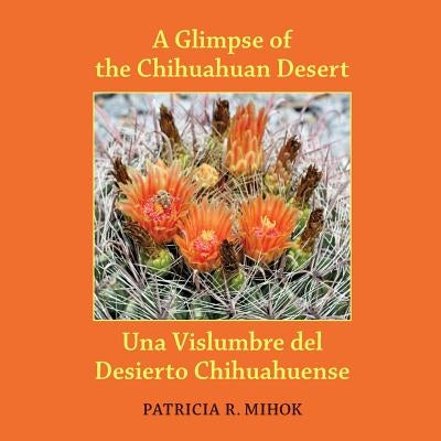 A Glimpse of the Chihuahuan Desert: Una Vislumbre del Desierto Chihuahuense by Steele, Caiti