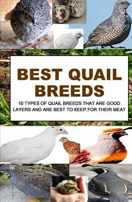 Best Quail Breeds: 10 Types Of Quail Breeds That Are Good Layers And Are Best To Keep For Their Meat by Okumu, Francis