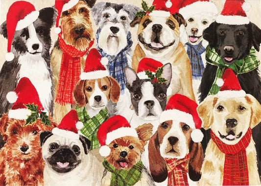 Deck the Dogs Deluxe Boxed Holiday Cards by 