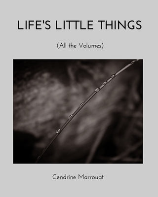 Life's Little Things: All the Volumes by Marrouat, Cendrine