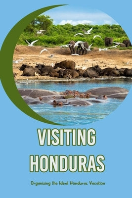 Visiting Honduras: Organizing the Ideal Honduras Vacation: Making the most of your trip to Honduras by Hidy, David