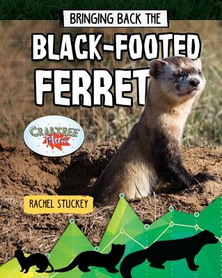 Bringing Back the Black-Footed Ferret by Stuckey, Rachel