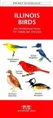 Indiana Birds: An Introduction to Familiar Species by Kavanagh, James