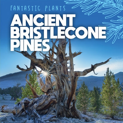 Ancient Bristlecone Pines by Griffin, Mary