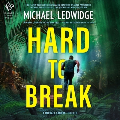 Hard to Break: A Michael Gannon Thriller by Ledwidge, Michael