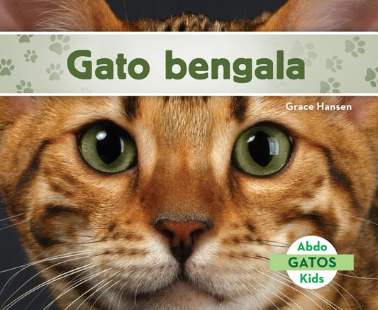 Gato Bengala (Bengal Cats) (Spanish Version) by Hansen, Grace