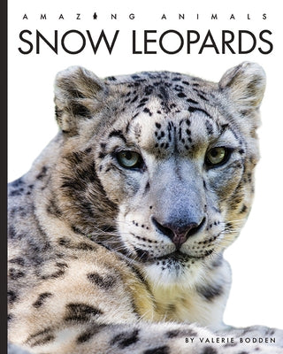 Snow Leopards by Bodden, Valerie