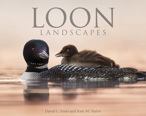 Loon Landscapes by Evers, David C.