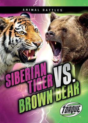 Siberian Tiger vs. Brown Bear by Sommer, Nathan