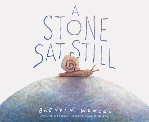 A Stone SAT Still by Wenzel, Brendan