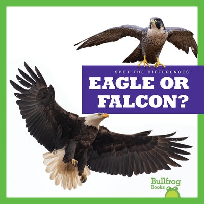 Eagle or Falcon? by Rice, Jamie