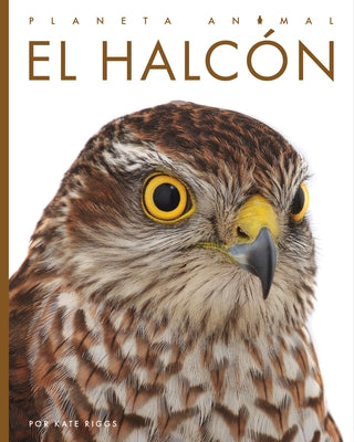 El Halcón by Bodden, Valerie