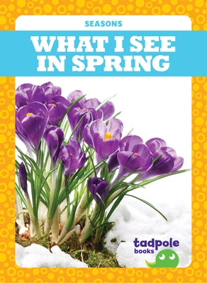 What I See in Spring by Jacks, Danielle J.