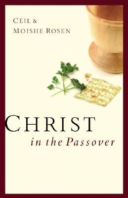 Christ in the Passover by Rosen, Ceil