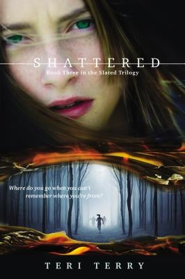 Shattered by Terry, Teri