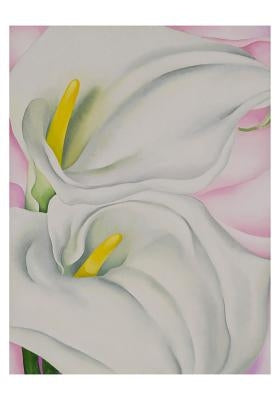 Georgia O'Keeffe: Two Calla Lilies on Pink Small Boxed Cards by Georgia O'Keeffe