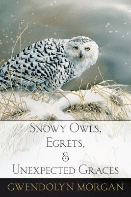 Snowy Owls, Egrets, and Unexpected Graces by Morgan, Gwendolyn