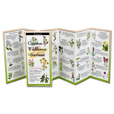 Common Wildflowers of the Southeast by Homoya, Michael