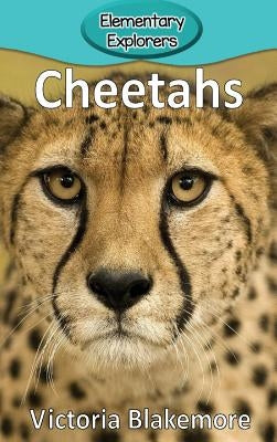 Cheetahs by Blakemore, Victoria