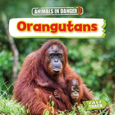 Orangutans by Dickmann, Nancy