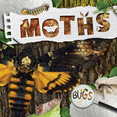 Moths by Anthony, William