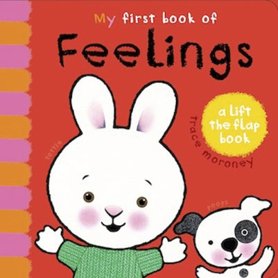 My First Book of Feelings: A Lift the Flap Book by Moroney, Trace