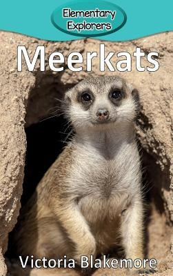 Meerkats by Blakemore, Victoria