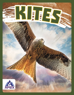 Kites by Stratton, Connor
