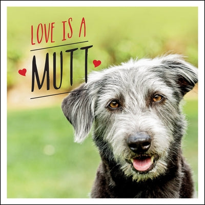 Love Is a Mutt: A Dog-Tastic Celebration of the World's Cutest Mixed and Cross Breeds by Ellis, Charlie