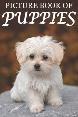Picture Book of Puppies: Picture Book of Puppies: For Seniors with Dementia [Cute Picture Books] by Books, Mighty Oak