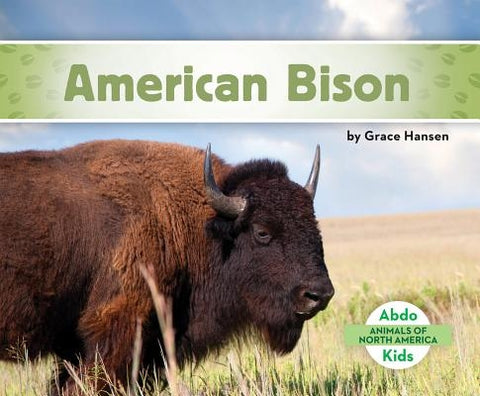 American Bison by Hansen, Grace