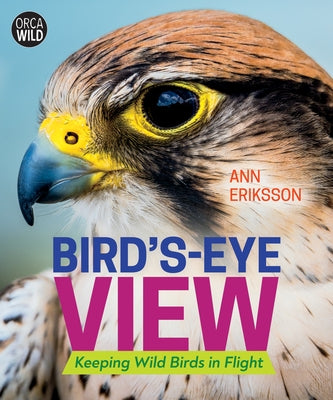 Bird's-Eye View: Keeping Wild Birds in Flight by Eriksson, Ann