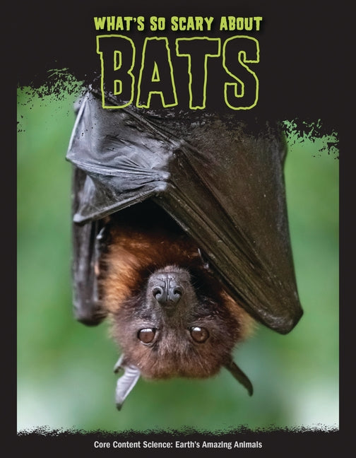 What's So Scary about Bats? by Mattern, Joanne