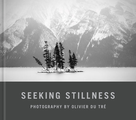 Seeking Stillness by Du Tr&#233;, Olivier