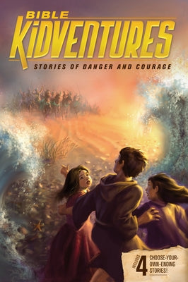 Bible Kidventures Stories of Danger and Courage by Seifert, Sheila