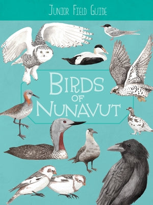 Junior Field Guide: Birds of Nunavut: English Edition by Mallory, Carolyn
