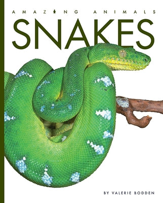 Snakes by Bodden, Valerie