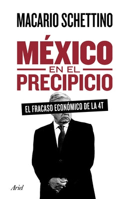 México En El Precipicio by Schettino, Macario