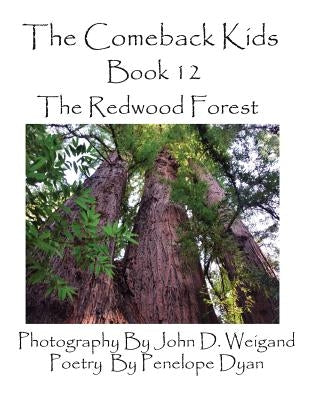 The Comeback Kids, Book 12, the Redwood Forest by Dyan, Penelope