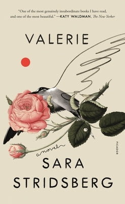 Valerie: Or, the Faculty of Dreams: A Novel by Stridsberg, Sara