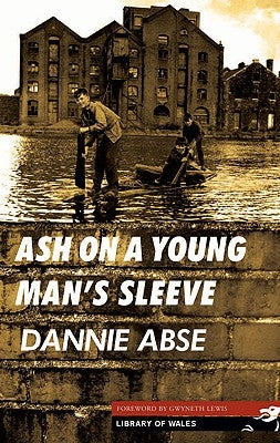 Ash on a Young Man's Sleeve by Abse, Dannie